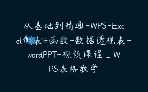 从基础到精通-WPS-Excel制表-函数-数据透视表-wordPPT-视频课程_WPS表格教学