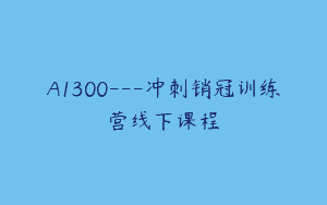 A1300—冲刺销冠训练营线下课程