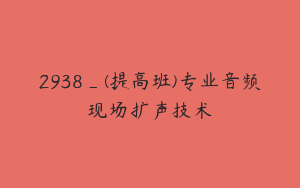 2938_(提高班)专业音频现场扩声技术