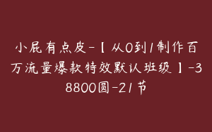 小屁有点皮-【从0到1制作百万流量爆款特效默认班级】-38800圆-21节
