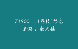 Z1900---[荔枝]形意套路：杂式捶