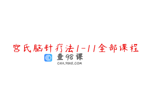 宫氏脑针疗法1-11全部课程