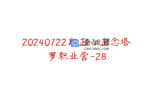 20240722期正心正念塔罗职业营-28