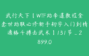 武行天下【WTF跆拳道教程全套世跆联必修新手初学入门到精通格斗搏击武术】131节_2899.0