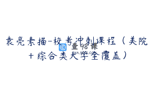 袁亮素描-校考冲刺课程（美院＋综合类大学全覆盖）