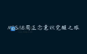 MBSA8周正念意识觉醒之旅
