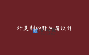 好复制的野生眉设计
