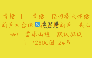 青糖-【_青糖_摆摊爆火冰糖葫芦大套课_花式糖葫芦_夹心mini_雪球山楂_默认班级】-12800圆-24节