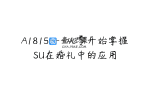 A1815—从零开始掌握SU在婚礼中的应用