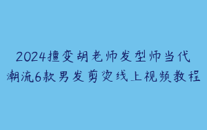 2024擅变胡老师发型师当代潮流6款男发剪烫线上视频教程
