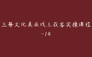 三每文化美业线上获客实操课程-14