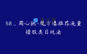 58_周心驰-魔方爆推荐流量错放类目玩法