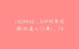 1309530_SAP财务实操(快速入门课)_79