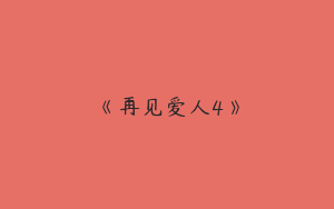 《再见爱人4》