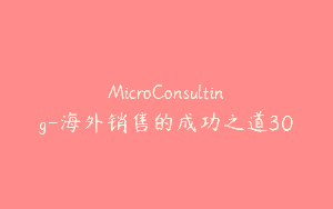 MicroConsulting-海外销售的成功之道30
