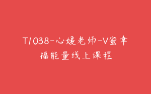 T1038-心媛老师-V蜜幸福能量线上课程