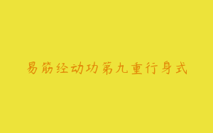 易筋经动功第九重行身式