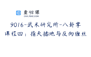 9016-武术研究所-八卦掌课程四：指天插地与反向缠丝