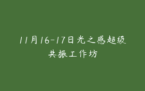 11月16-17日光之感超级共振工作坊