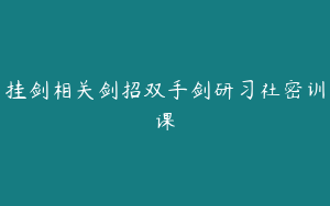挂剑相关剑招双手剑研习社密训课