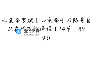 心意拳罗斌【心意拳手刀防身自卫在线视频课程】14节_899.0