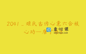 2041_姬氏古传心意六合核心功—唐宁泰3