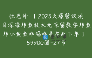 张老师-【2023火爆餐饮项目深海炸鱼技术无保留教学炸鱼炸小黄鱼炸鸡炸串在此下单】-59900圆-27节