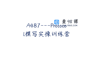 A487—Protocol撰写实操训练营