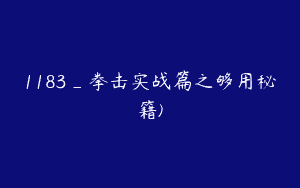 1183_拳击实战篇之够用秘籍)