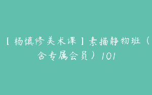 【杨慎修美术课】素描静物班（含专属会员）101