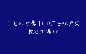【老朱专属】CID广告账户实操进阶课17