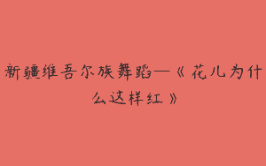 新疆维吾尔族舞蹈—《花儿为什么这样红》