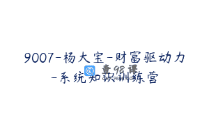 9007-杨大宝-财富驱动力-系统知识训练营