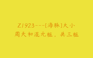 Z1923---[海豚]大小周天和混元桩，共三桩