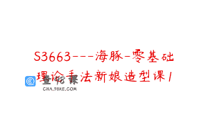 S3663—海豚-零基础理论手法新娘造型课1