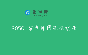 9050-梁老师国际规划课