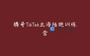 腾哥TikTok出海陪跑训练营