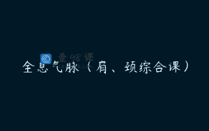 全息气脉（肩、颈综合课）