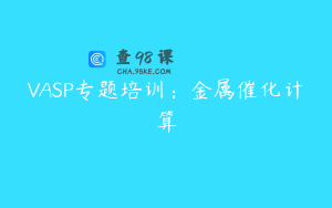 VASP专题培训：金属催化计算