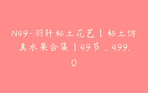 N49-羽轩粘土花艺【粘土仿真水果合集】49节_499.0