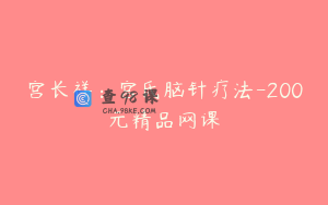 宫长祥：宫氏脑针疗法-200元精品网课