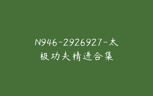 N946-2926927-太极功夫精进合集
