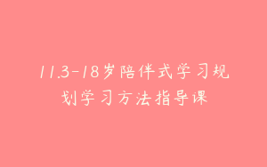 11.3-18岁陪伴式学习规划学习方法指导课