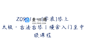 Z0901---[学浪]琴上太极·古法古琴丨缦舍入门至中级课程