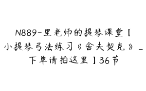 N889-里老师的提琴课堂【小提琴弓法练习《舍夫契克》_下单请拍这里】36节