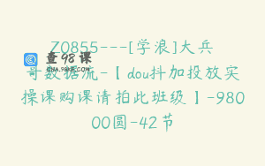 Z0855—[学浪]大兵哥数据流-【dou抖加投放实操课购课请拍此班级】-98000圆-42节