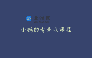 小鹏的专业线课程