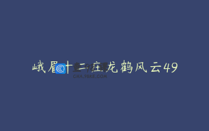 峨眉十二庄龙鹤风云49
