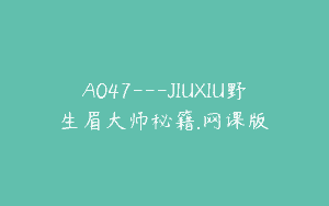 A047—JIUXIU野生眉大师秘籍.网课版