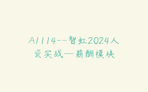 A1114–智虹2024人资实战—薪酬模块